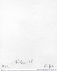 Historisches Foto (Rückseite) von Cracensigillatus gracilirostrus (Robins et al., 2013) (NHMW-AFW-GEO-BACHMAYER-FOTO-1990-0041-1932)